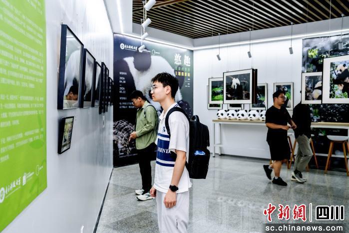 © 2012 贝博ball手机登录入