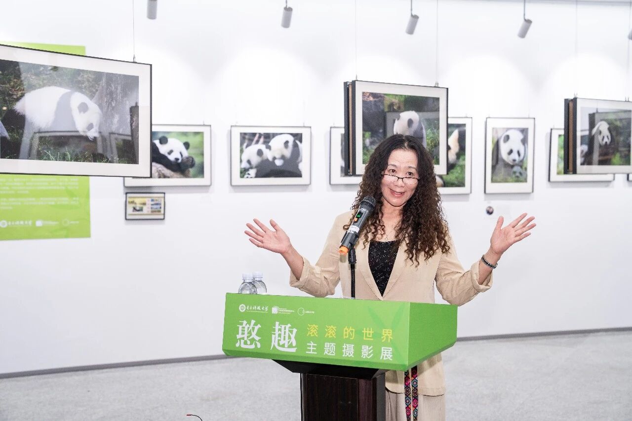 作为贝博ball手机登录入口优惠活动