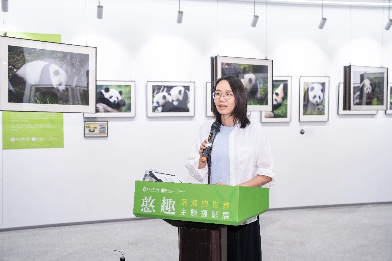 这场独具特色的熊猫主题摄影展